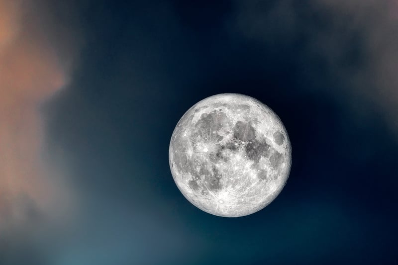 Moonlit Garden